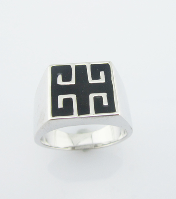 Glanzende Emaille Edelsteinringe in Sterling Silber 925 Sterling Silber Schmuckringe Chunky Sterling Silberringe
