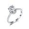 Stellen sich silberne Moissanite Ring-Eheringe AAA 925 Adligen für Damen-Mädchen vor